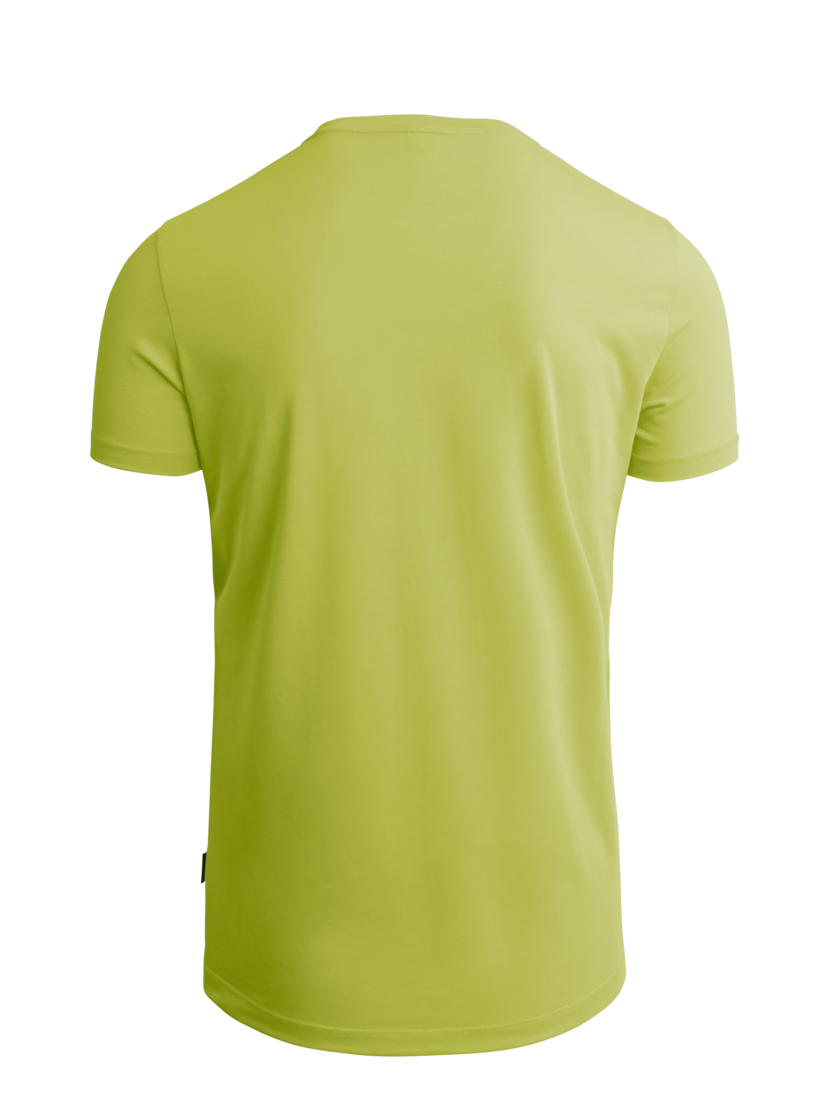 Martini Sportswear - AMBITION - T-Shirts in wild lime-olive - vista posteriore - Uomo