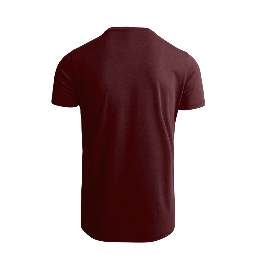 Martini Sportswear - BEST MATE - T-Shirts in wine-mountain - rear view - Men