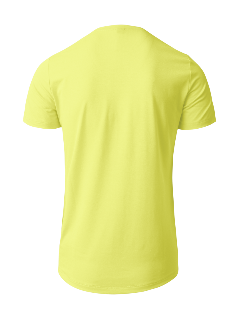 Martini Sportswear - HILLCLIMB Shirt M - T-Shirts in greenery-poseidon - Rückansicht - Herren