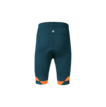 Martini Sportswear - FLOWTRAIL Shorts M - Kurze Hosen in poseidon-fire - Rückansicht - Herren