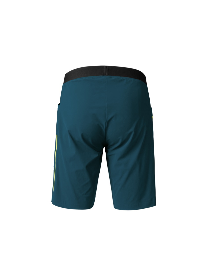 Martini Sportswear - ALPMATE Shorts Straight M - Kurze Hosen in poseidon-greenery - Rückansicht - Herren