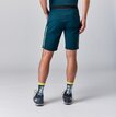 Martini Sportswear - ALPMATE Shorts Straight M - Shorts in mosstone-black - rear view model - Men